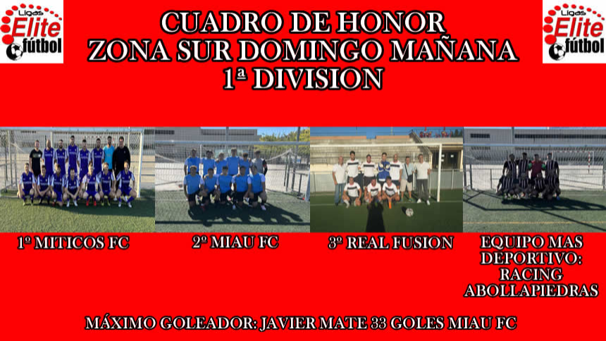 CUADRO DE HONOR. ZONA SUR DOMINGO MAÑANA 1ª DIVISIÓN